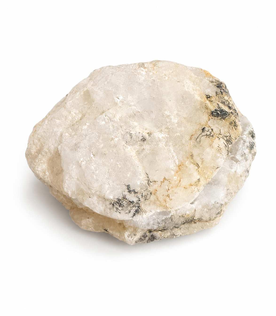Coquillage | Agate druzy