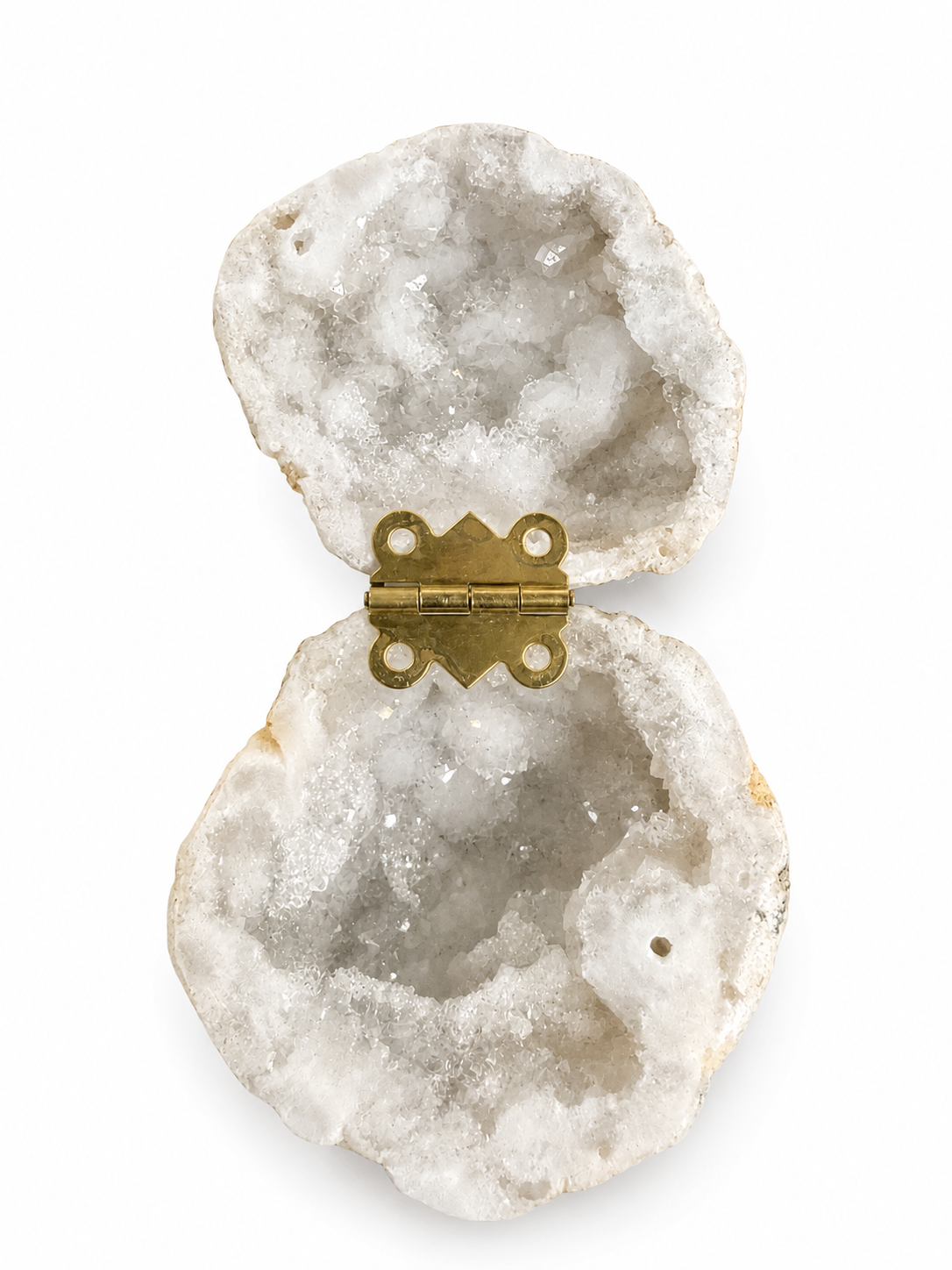 Coquillage | Agate druzy