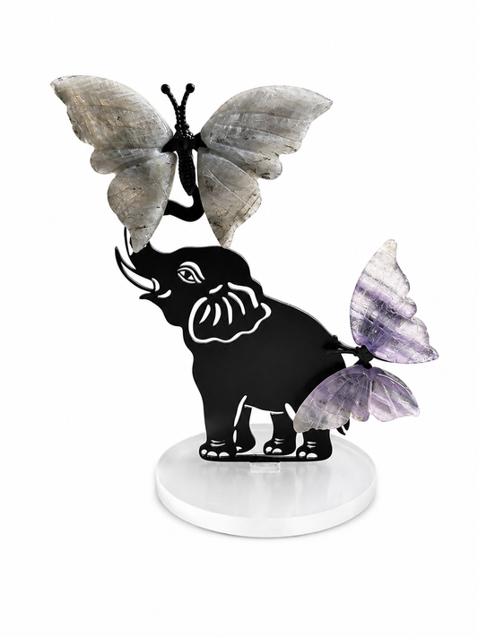 Papillon | Éléphant