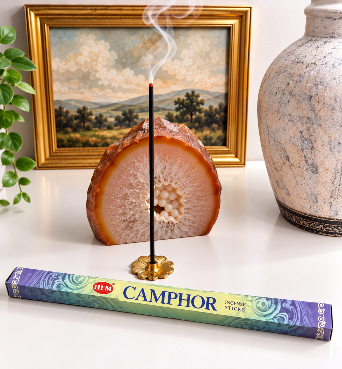 Encens | Camphor