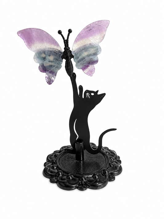 Papillon | Chat