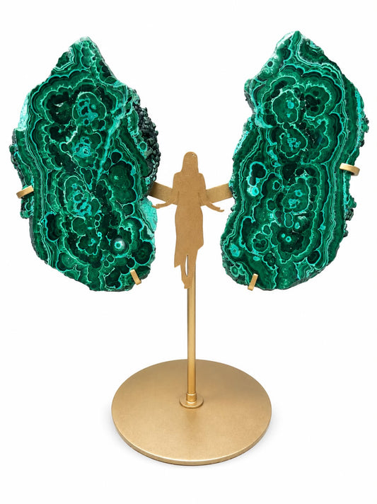 Ailes d'ange en chrysocolle et malachite