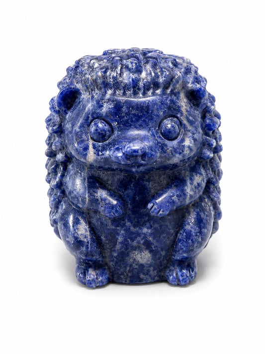 Hérisson | Sodalite