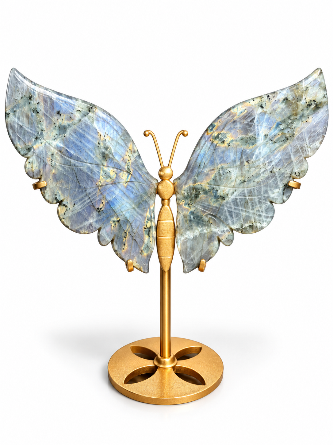 Papillon | Labradorite