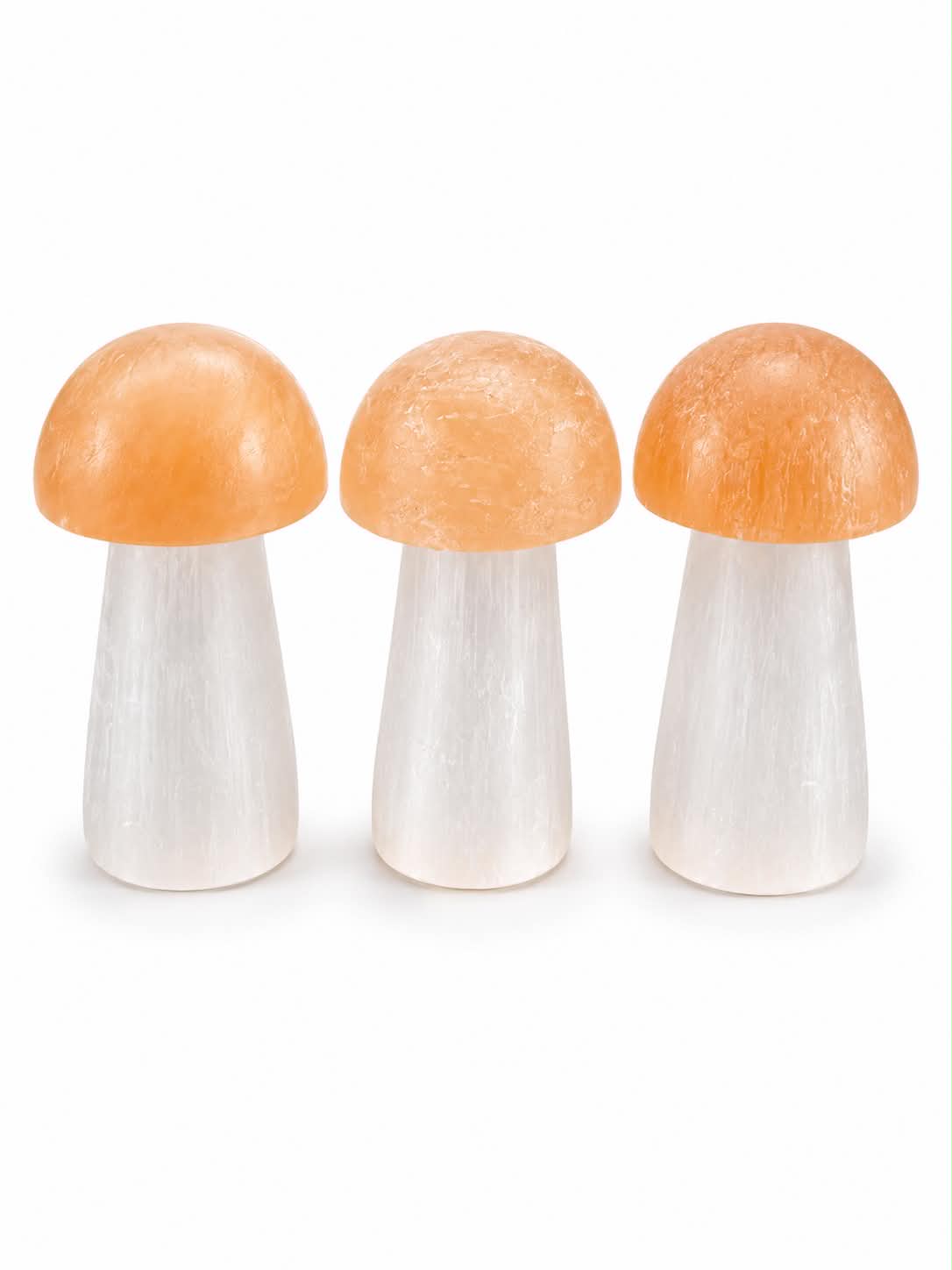 champignon en sélénite