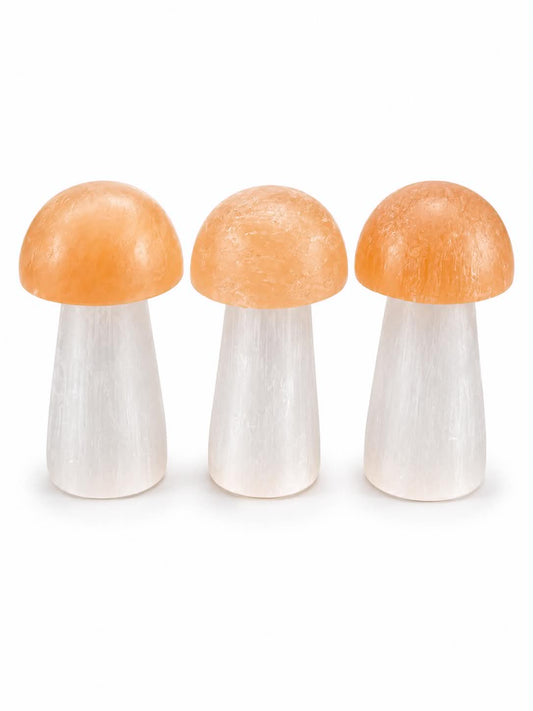 Champignon | Sélénite