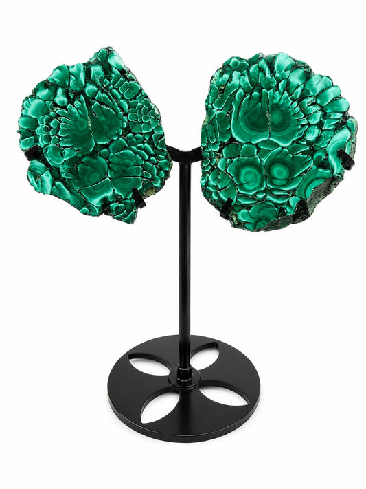 ailes en malachite